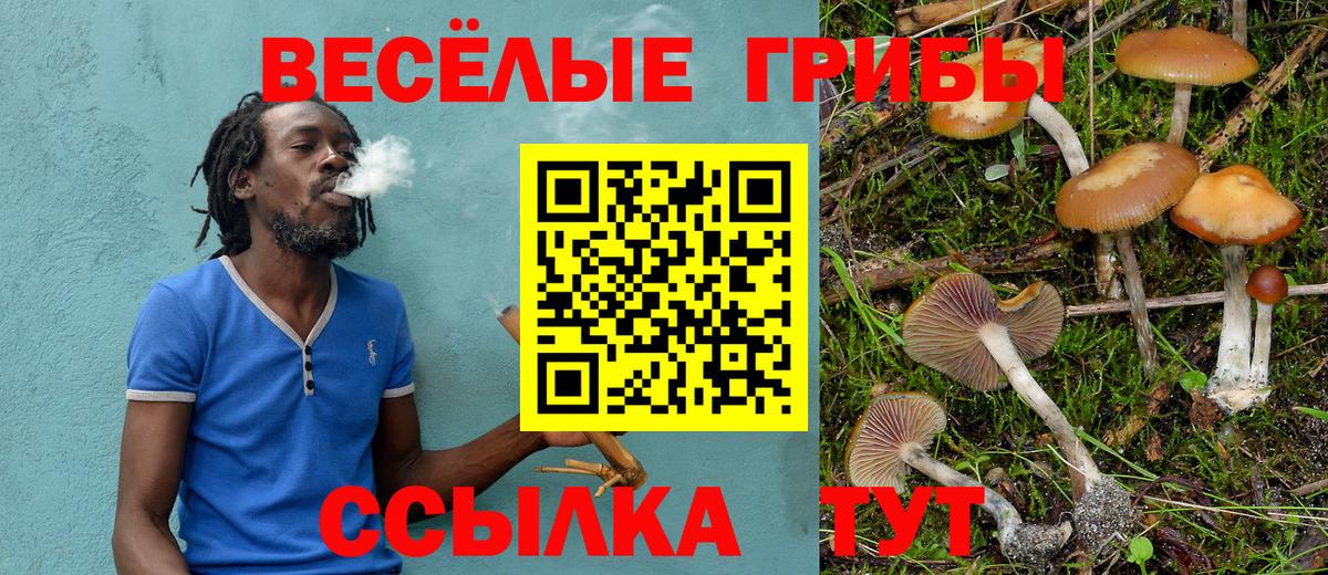 Псилоцибиновые грибы MAGIC MUSHROOMS  Вход с VPN  Вышний Волочёк 